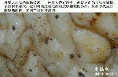 长沙市民拍到外星人383 / 作者:UFO外星人爱好者 / 帖子ID:57563