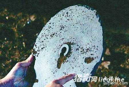 十大史前证据显示：外星人曾光临地球565 / 作者:UFO来啦 / 帖子ID:60923