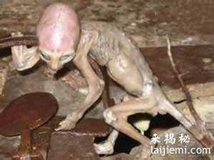 曝光苏联获外星婴儿惊人事实！139 / 作者:UFO外星人爱好者 / 帖子ID:57791