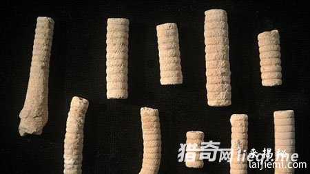 外星人造访地球新证据：3亿年前螺丝钉492 / 作者:UFO外星人爱好者 / 帖子ID:57598