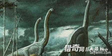 科幻电影骗了我们！外星人原来长这样925 / 作者:UFO来啦 / 帖子ID:60958