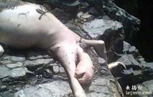人类数度攻击UFO 遭受外星人惨痛回击814 / 作者:UFO来啦 / 帖子ID:60853