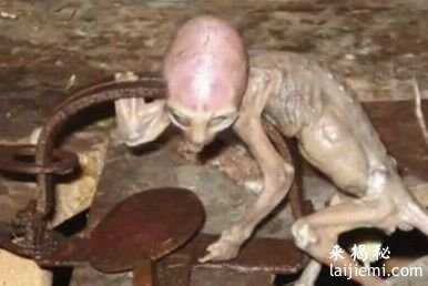 科学家发惊人言论：外星人已抵达地球207 / 作者:UFO来啦 / 帖子ID:60976