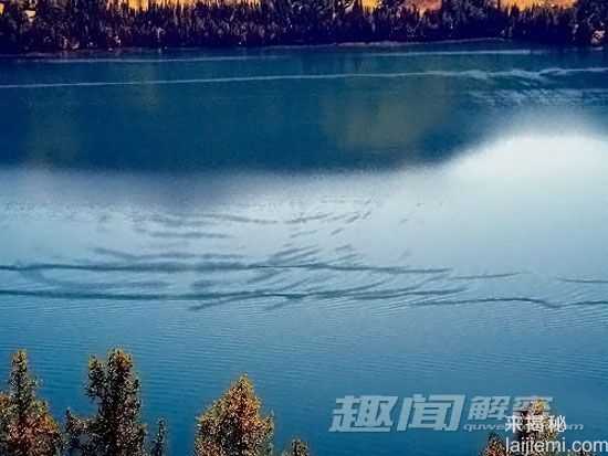 科学家将用声纳设备 探秘喀纳斯湖水怪74 / 作者:UFO来啦 / 帖子ID:65345