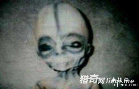 人类已发现57种外星人 面貌曝光386 / 作者:UFO来啦 / 帖子ID:60928