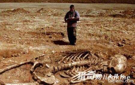 人类已发现57种外星人 面貌曝光392 / 作者:UFO来啦 / 帖子ID:60928