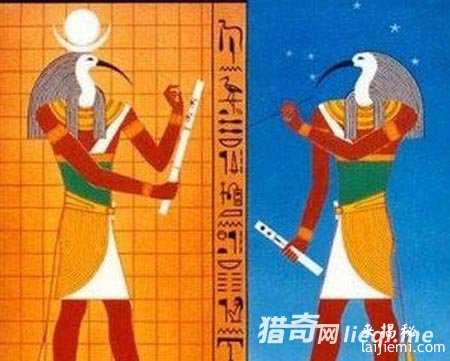人类已发现57种外星人 面貌曝光406 / 作者:UFO来啦 / 帖子ID:60928