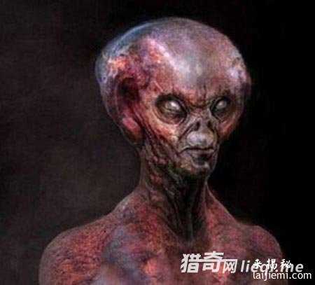 人类已发现57种外星人 面貌曝光303 / 作者:UFO来啦 / 帖子ID:60928