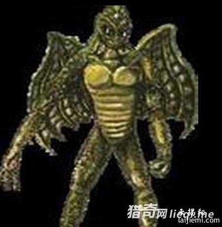 人类已发现57种外星人 面貌曝光827 / 作者:UFO来啦 / 帖子ID:60928