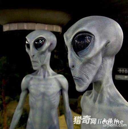 人类已发现57种外星人 面貌曝光430 / 作者:UFO来啦 / 帖子ID:60928