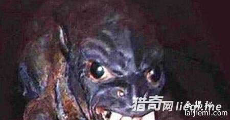 人类已发现57种外星人 面貌曝光425 / 作者:UFO来啦 / 帖子ID:60928