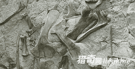 万年前地球巨大核爆炸 究竟是谁引爆？946 / 作者:UFO来啦 / 帖子ID:61376