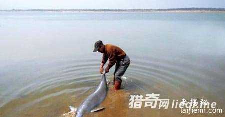 由长江客轮回顾中国百慕大沉船977 / 作者:UFO来啦 / 帖子ID:64971 由长江客轮回顾中国百慕大沉船977 / 作者:UFO来啦 / 帖子ID:64971