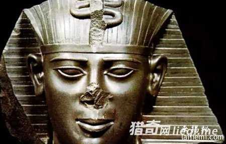 曝光外星人15个惊天事实：看后吓人一跳320 / 作者:UFO外星人爱好者 / 帖子ID:57589