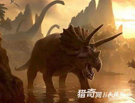 曝光外星人15个惊天事实：看后吓人一跳942 / 作者:UFO外星人爱好者 / 帖子ID:57589