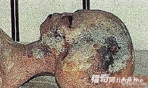 村庄挖出百具外星人遗骸，被埋超500年373 / 作者:UFO来啦 / 帖子ID:61017