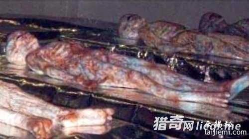 村庄挖出百具外星人遗骸，被埋超500年407 / 作者:UFO来啦 / 帖子ID:61017