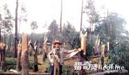 盘点全球著名UFO事件，至今无人可解252 / 作者:UFO来啦 / 帖子ID:60791