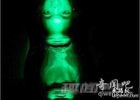 真实的绿巨人：真实存在的皮肤绿色的孩子917 / 作者:UFO来啦 / 帖子ID:65255