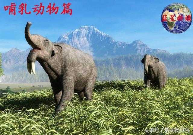 大象的进化过程，关于大象的知识都在这了！745 / 作者:UFO来啦 / 帖子ID:63371
