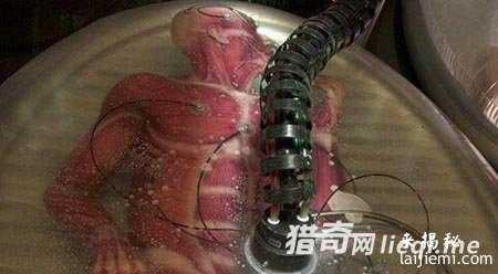 人类罪恶的十大发明，真相竟如此可怕195 / 作者:UFO来啦 / 帖子ID:62058