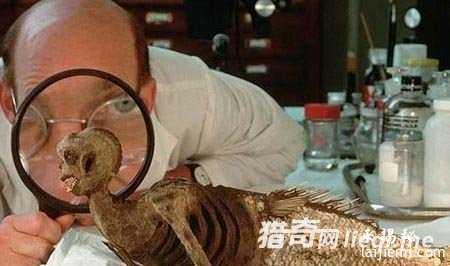 美海军演习意外撞见海底神秘UFO425 / 作者:UFO外星人爱好者 / 帖子ID:60760