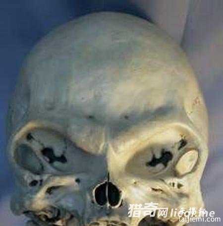 外星人遗留最后种族竟是他们？679 / 作者:UFO外星人爱好者 / 帖子ID:57609