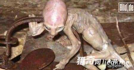 外星人存在铁证：宇宙藏巨型生物845 / 作者:UFO外星人爱好者 / 帖子ID:57535