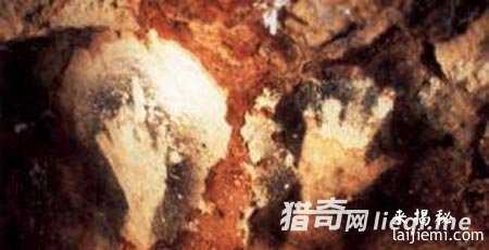 外星人存在铁证：宇宙藏巨型生物749 / 作者:UFO外星人爱好者 / 帖子ID:57535