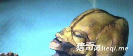 外星人存在铁证：宇宙藏巨型生物956 / 作者:UFO外星人爱好者 / 帖子ID:57535