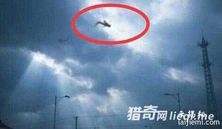 西方学者：中国龙竟是外星人246 / 作者:UFO外星人爱好者 / 帖子ID:57549