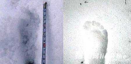 日本探险队拍雪人脚印,疑为UFO留下255 / 作者:UFO外星人爱好者 / 帖子ID:60397 日本探险队拍雪人脚印,疑为UFO留下255 / 作者:UFO外星人爱好者 / 帖子ID:60397