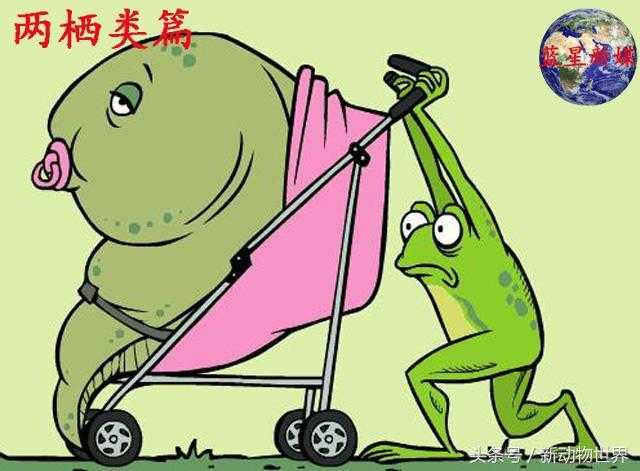 不合理蛙：身体能够逆生长，也许能帮助人类解开生命密码473 / 作者:UFO外星人爱好者 / 帖子ID:60313