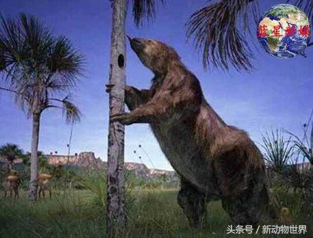 草原大地獭：鲜为人知的猛兽，拥有大象的身躯老虎的利爪946 / 作者:UFO外星人爱好者 / 帖子ID:60145
