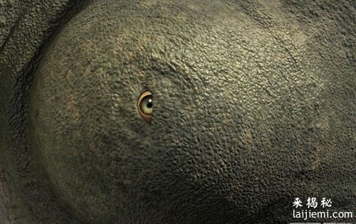 关于外星人的模样　霍金是这样认为的：形象千奇百怪！997 / 作者:UFO来啦 / 帖子ID:60935
