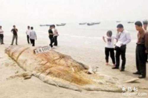 民间流传的18种可怕的生物：竟然有这种生物！917 / 作者:UFO来啦 / 帖子ID:64571