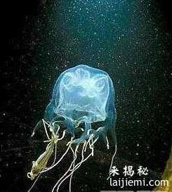 世界最毒动物排行：眼镜王蛇竟倒数第二551 / 作者:UFO来啦 / 帖子ID:61721