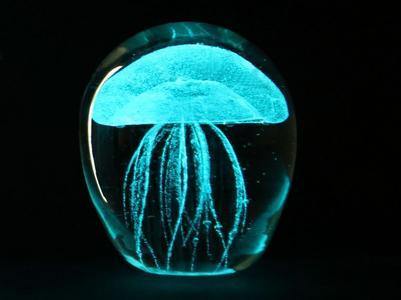 地球上最致命的5种动物156 / 作者:UFO来啦 / 帖子ID:63224