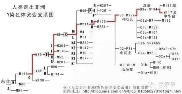 科学家：人类祖先竟是同一个非洲女人？169 / 作者:UFO来啦 / 帖子ID:65358