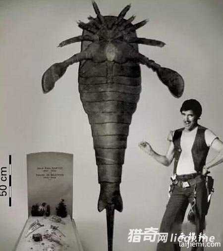 完爆恐龙！那些称霸世界的史前海洋巨兽737 / 作者:UFO来啦 / 帖子ID:63567