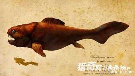 完爆恐龙！那些称霸世界的史前海洋巨兽440 / 作者:UFO来啦 / 帖子ID:63567