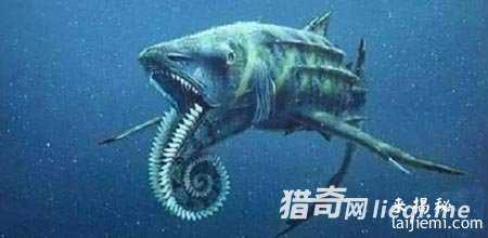 完爆恐龙！那些称霸世界的史前海洋巨兽131 / 作者:UFO来啦 / 帖子ID:63567