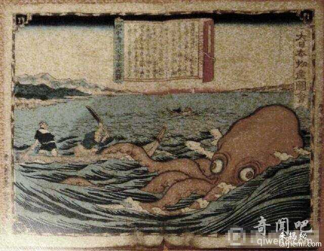 他穷其一生追寻北海巨妖 死后37年大王乌贼出现了966 / 作者:UFO来啦 / 帖子ID:62074