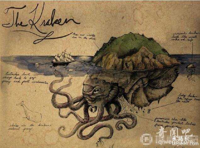 他穷其一生追寻北海巨妖 死后37年大王乌贼出现了153 / 作者:UFO来啦 / 帖子ID:62074
