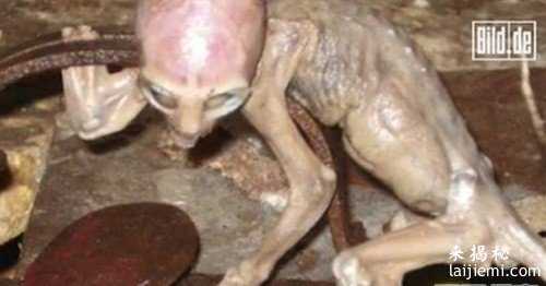 美国女孩在外星人的逼迫下生下蓝皮肤婴儿933 / 作者:UFO外星人爱好者 / 帖子ID:57325