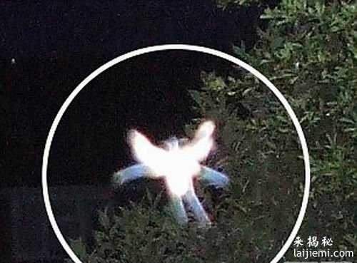 美国女孩在外星人的逼迫下生下蓝皮肤婴儿18 / 作者:UFO外星人爱好者 / 帖子ID:57325