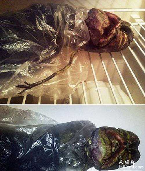 美国女孩在外星人的逼迫下生下蓝皮肤婴儿81 / 作者:UFO外星人爱好者 / 帖子ID:57325