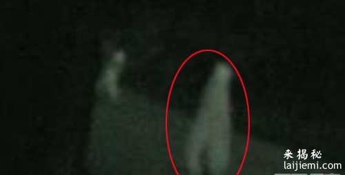 美国女孩在外星人的逼迫下生下蓝皮肤婴儿959 / 作者:UFO外星人爱好者 / 帖子ID:57325