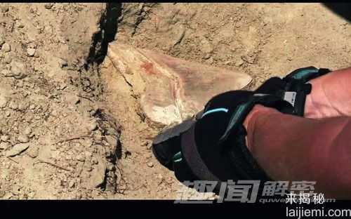 奇闻！史前巨齿大鲨鱼竟复活744 / 作者:UFO来啦 / 帖子ID:63473