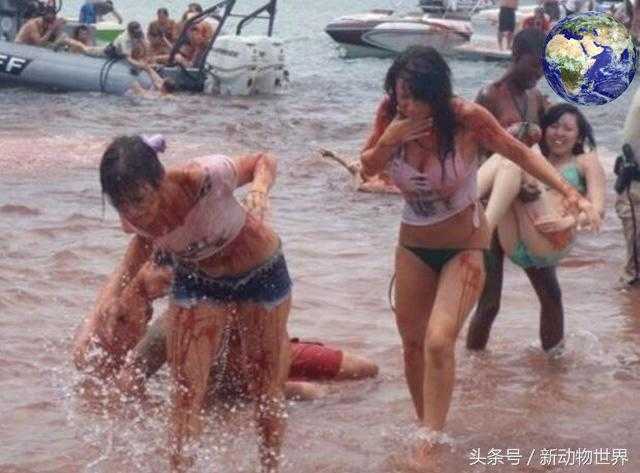 被食人蚁和被食人鱼包围，哪种情况更可怕？105 / 作者:UFO外星人爱好者 / 帖子ID:60338